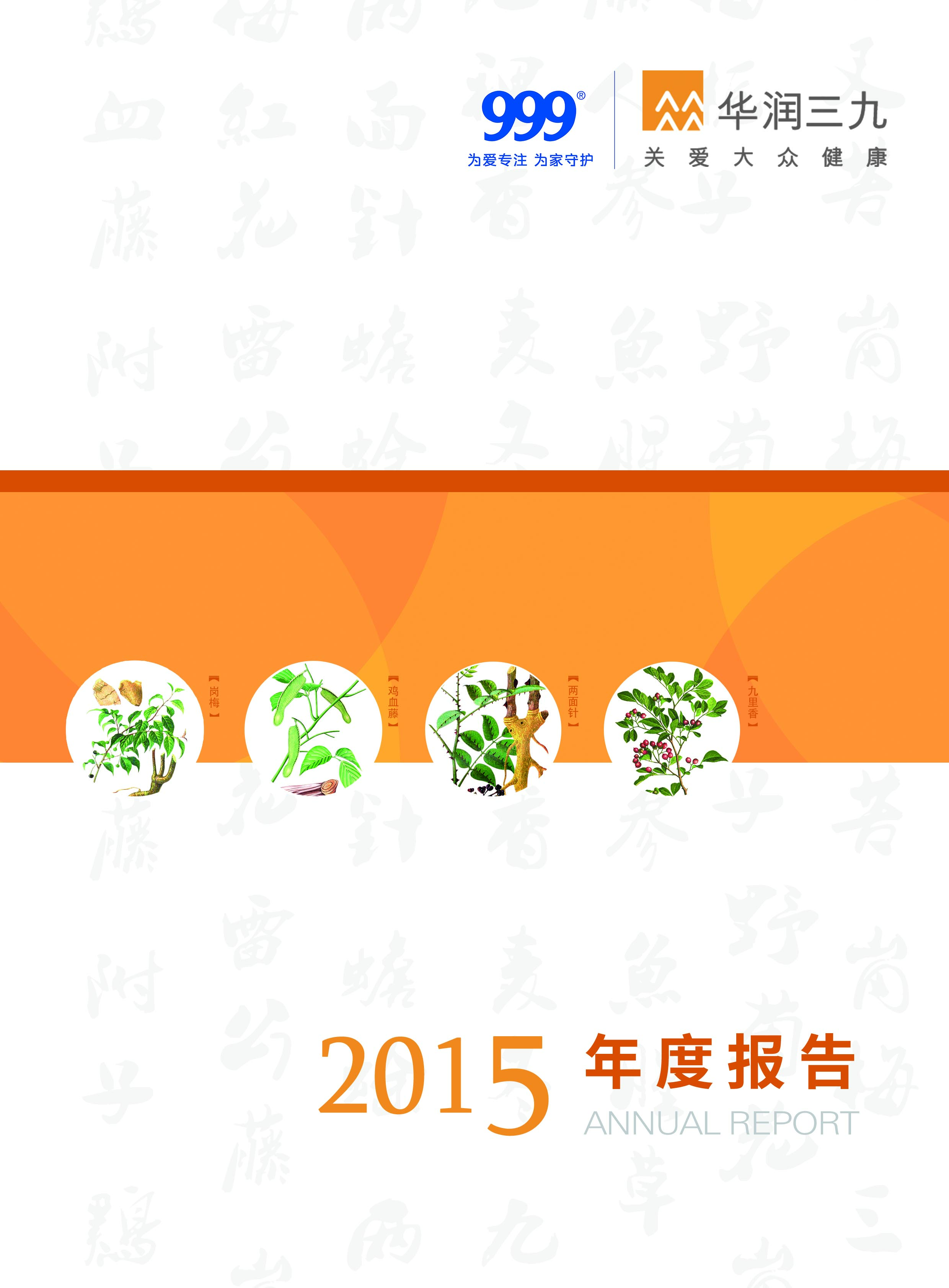 华润三九：2015年年度报告